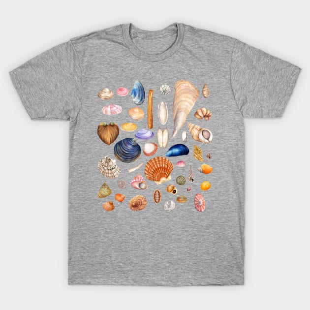 Watercolor Seashell Collection T-Shirt by AmandaDilworth